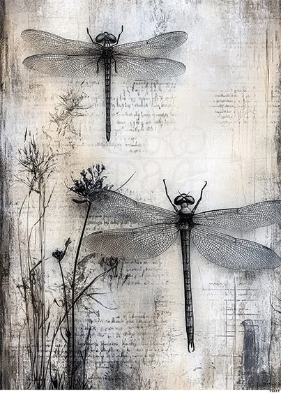 Papier ryżowy do decoupage A5 Ważki grunge 11077
