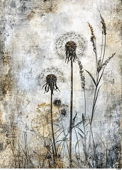 Papier ryżowy do decoupage A4 Dmuchawce grunge 11074