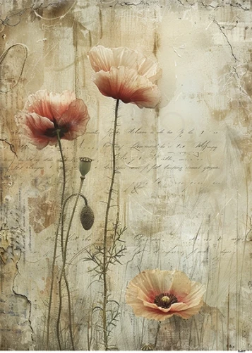 Papier ryżowy do decoupage A4 Maki 8487