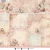 Zestaw papierów do scrapbookingu 20x20 A Cat's Secret SL-ACS-DPP315 Studio Light