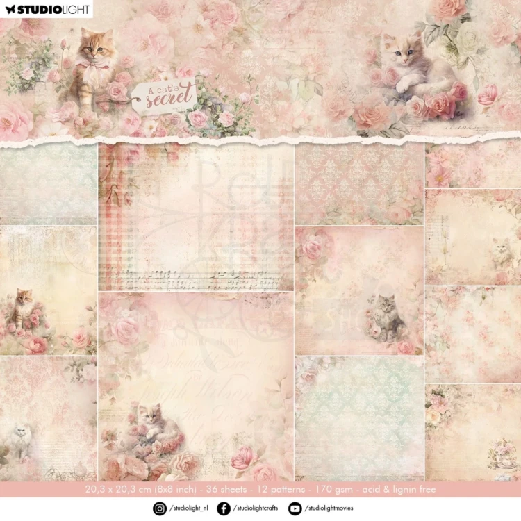 Zestaw papierów do scrapbookingu 20x20 A Cat's Secret SL-ACS-DPP315 Studio Light