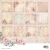 Zestaw papierów do scrapbookingu 20x20 A Cat's Secret SL-ACS-DPP315 Studio Light