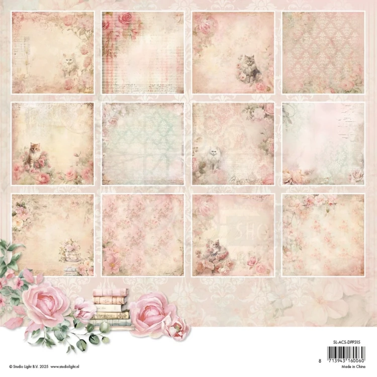Zestaw papierów do scrapbookingu 20x20 A Cat's Secret SL-ACS-DPP315 Studio Light