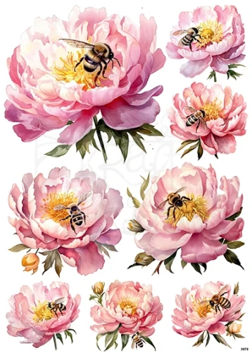 Papier ryżowy do decoupage A4 Pszczoły i peonia 3679