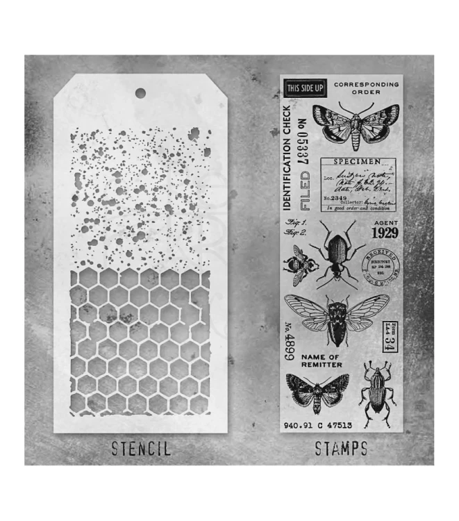 Zestaw stemple + szablon #11 Entomology THMM111 Tim Holtz Stampers Anonymous