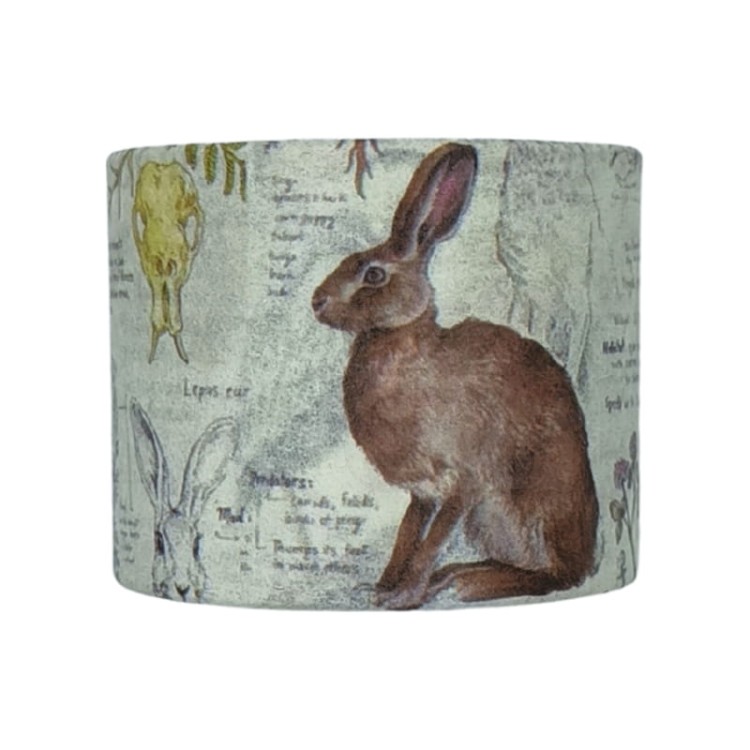 Taśma washi - Zwierzęta rośliny napisy - 30mm
