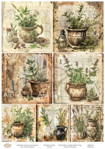 Papier ryżowy do decoupage A4 Zioła 03 A-R-075 Artistiko