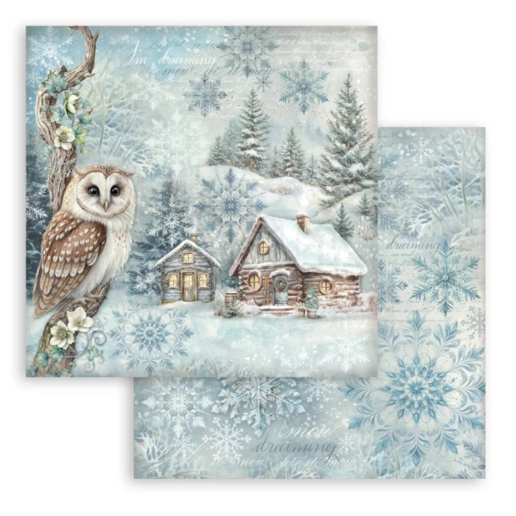Zestaw papierów do scrapbookingu 20x20 The Owl’s House SBBS130 Stamperia