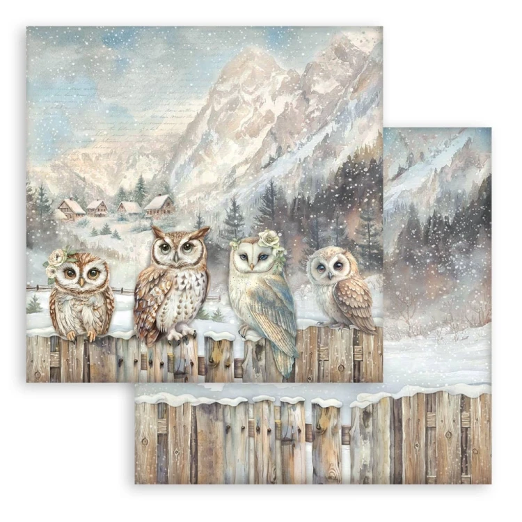 Zestaw papierów do scrapbookingu 20x20 The Owl’s House SBBS130 Stamperia