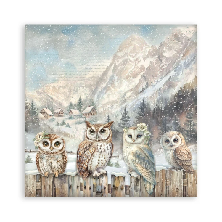 Zestaw papierów jednostronnych do scrapbookingu 20x20 The Owl’s House 22 arkusze SBBSXB16 Stamperia