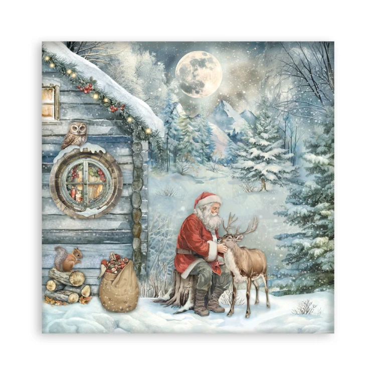 Zestaw papierów jednostronnych do scrapbookingu 20x20 The Owl’s House 22 arkusze SBBSXB16 Stamperia