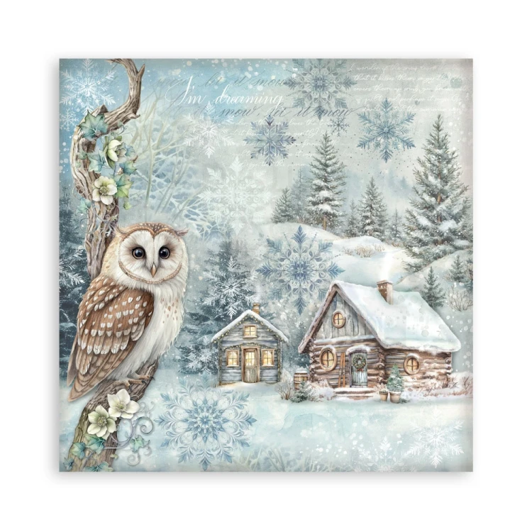 Zestaw papierów jednostronnych do scrapbookingu 20x20 The Owl’s House 22 arkusze SBBSXB16 Stamperia