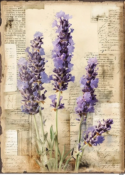 Papier ryżowy do decoupage A5 Lawenda retro 12151