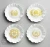 H2O Transfers 21.5x27.9cm Gilded Memories 2 ark 678234 Prima