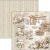 Zestaw papierów do scrapbookingu 30x30 Winter Season CBPM088 12 arkuszy Ciao Bella