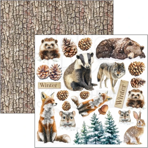 Zestaw papierów do scrapbookingu 15x15 Forest Tales CBQE090 24 arkusze Ciao Bella