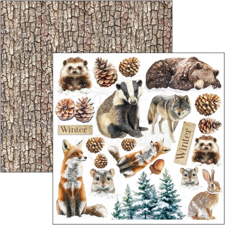 Zestaw papierów do scrapbookingu 15x15 Forest Tales CBQE090 24 arkusze Ciao Bella