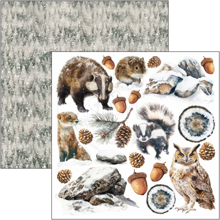 Zestaw papierów do scrapbookingu 15x15 Forest Tales CBQE090 24 arkusze Ciao Bella