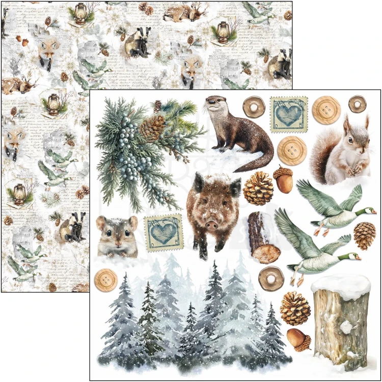 Zestaw papierów do scrapbookingu 15x15 Forest Tales CBQE090 24 arkusze Ciao Bella