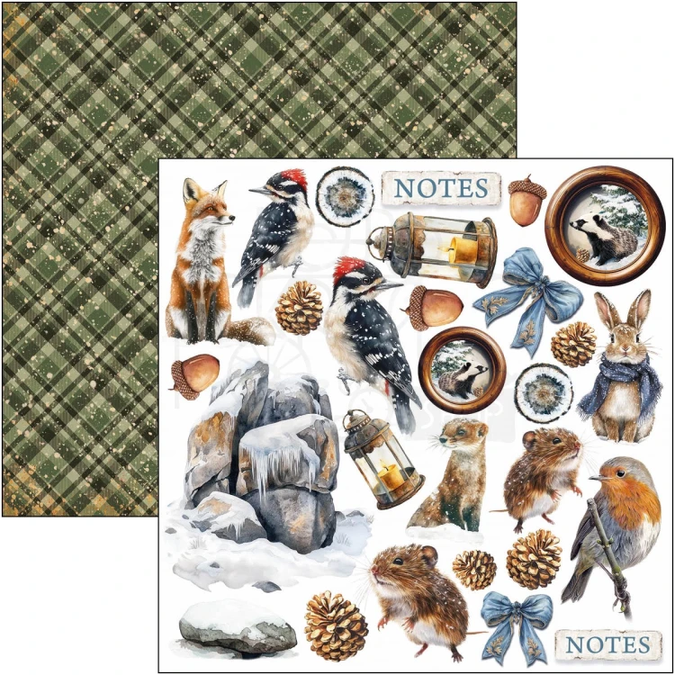 Zestaw papierów do scrapbookingu 15x15 Forest Tales CBQE090 24 arkusze Ciao Bella
