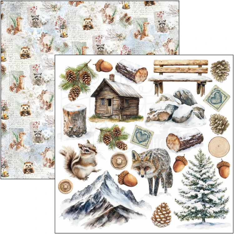 Zestaw papierów do scrapbookingu 15x15 Forest Tales CBQE090 24 arkusze Ciao Bella
