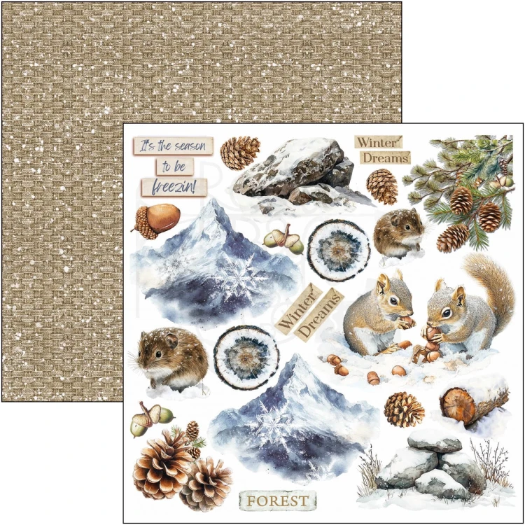 Zestaw papierów do scrapbookingu 15x15 Forest Tales CBQE090 24 arkusze Ciao Bella