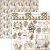 Zestaw papierów do scrapbookingu 15x15 Winter Season CBQE088 24 arkusze Ciao Bella