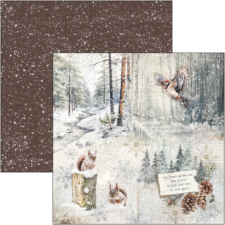 Zestaw papierów do scrapbookingu 20x20 Forest Tales CBH090 12 arkuszy Ciao Bella