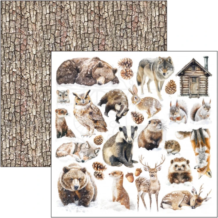 Zestaw papierów do scrapbookingu 20x20 Forest Tales CBH090 12 arkuszy Ciao Bella