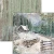 Zestaw papierów do scrapbookingu 20x20 Forest Tales CBH090 12 arkuszy Ciao Bella