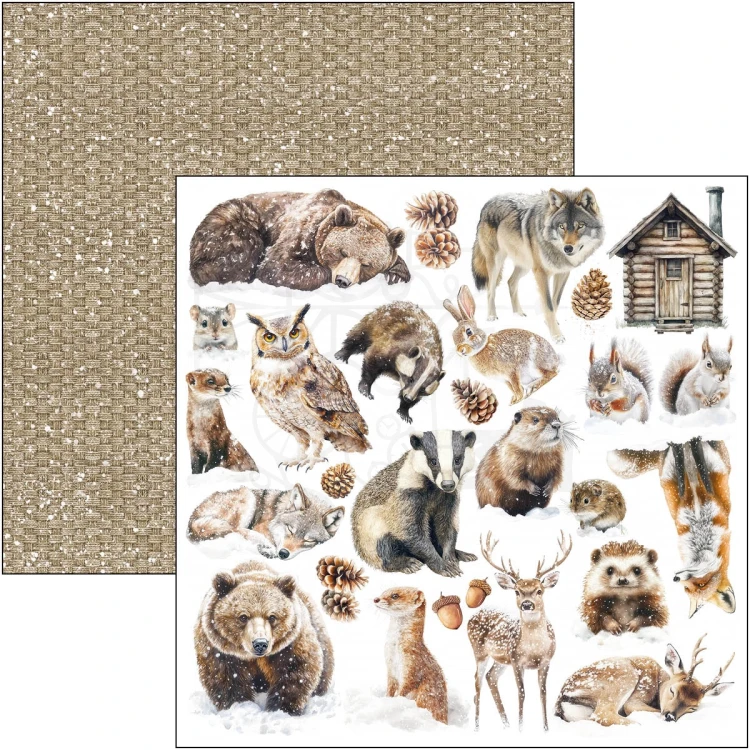 Zestaw papierów do scrapbookingu 30x30 Forest Tales CBT090 8 arkuszy Ciao Bella