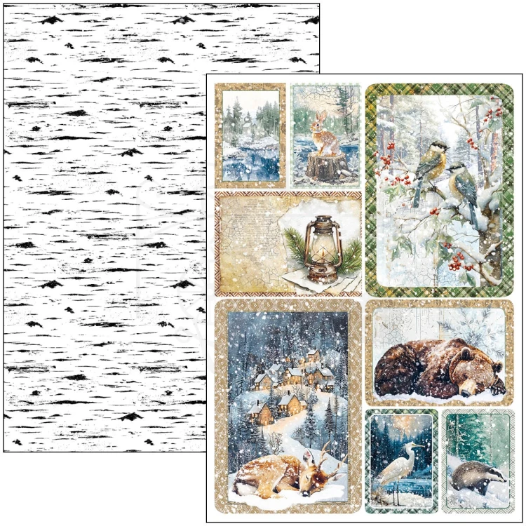 Zestaw papierów do scrapbookingu A4 Forest Tales CBCL090 9 arkuszy Ciao Bella