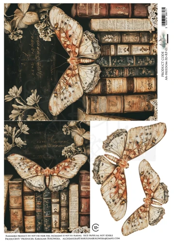 Papier ryżowy do decoupage A4 Ćmy i książki AA-FREEDOM-3D-RP-01 Alchemy of Art