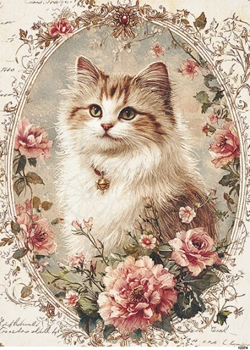Papier ryżowy do decoupage A5 Kot w ramce retro 12374