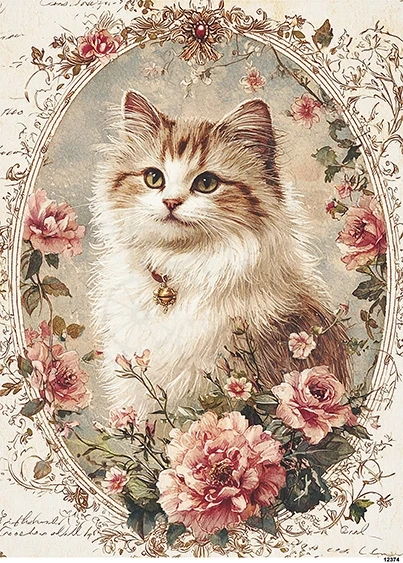 Papier ryżowy do decoupage A5 Kot w ramce retro 12374