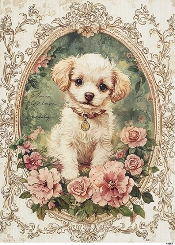 Papier ryżowy do decoupage A5 Piesek w ramce retro 12367