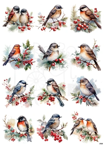 Papier ryżowy do decoupage A4 Ptaszek na gałązce z czerwonymi kuleczkami 3725