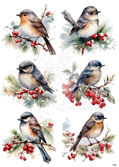 Papier ryżowy do decoupage A4 Ptaszek na gałązce z czerwonymi kuleczkami 3723