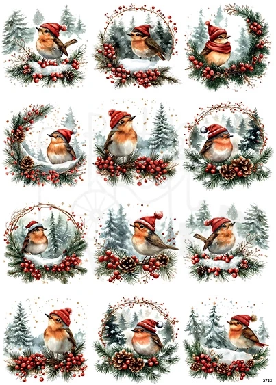 Papier ryżowy do decoupage A4 Zimowy ptaszek rudzik w czapce 3722