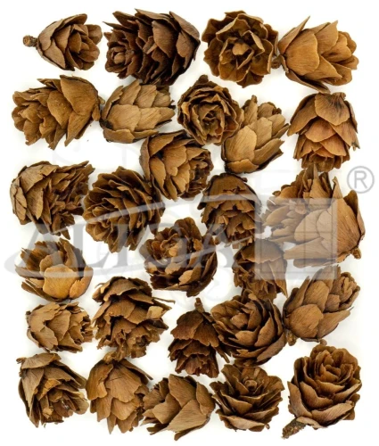 Szyszki ozdobne naturalne 2-3cm 30g SZYSZ-60 Aliga