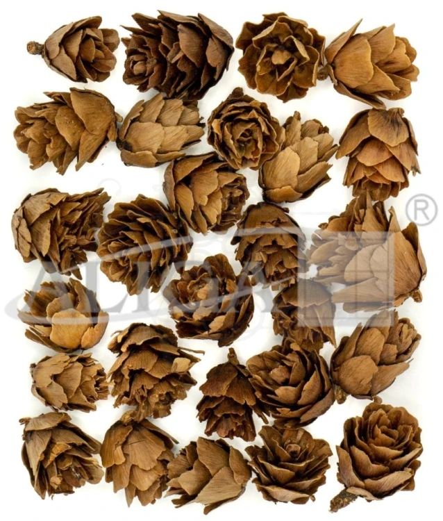 Szyszki ozdobne naturalne 2-3cm 30g SZYSZ-60 Aliga