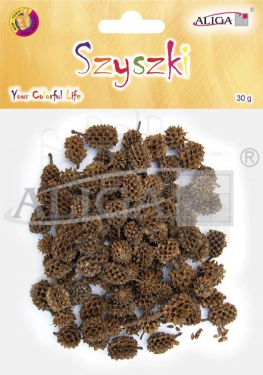 Szyszki ozdobne naturalne 1.5-3cm 30g SZYSZ-80 Aliga