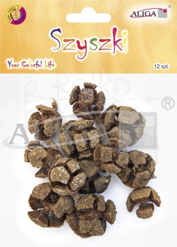 Szyszki ozdobne naturalne 2-3cm 12szt SZYSZ-90 Aliga