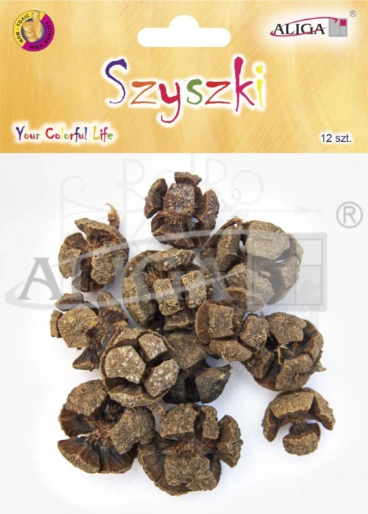 Szyszki ozdobne naturalne 2-3cm 12szt SZYSZ-90 Aliga