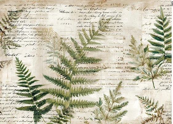 Papier ryżowy do decoupage A5 Liście paproci retro 13374