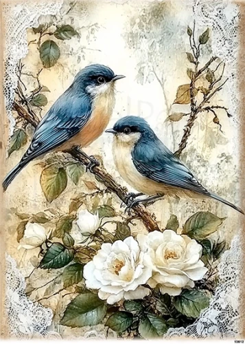 Papier ryżowy do decoupage A4 Ptaki na gałęzi 13612