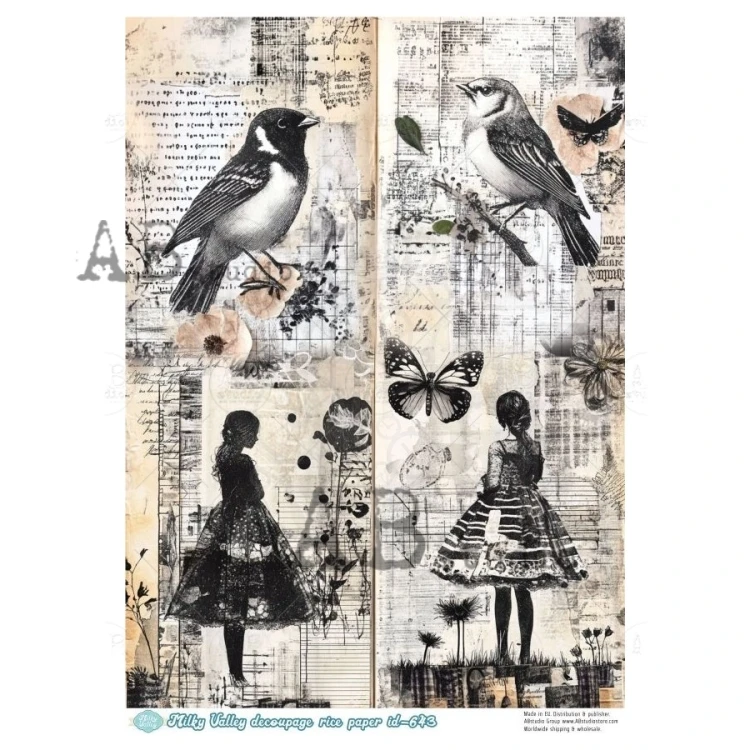 Papier ryżowy do decoupage A4 Art journal - dziewczyny i ptaki ID-643 - Milky Valley
