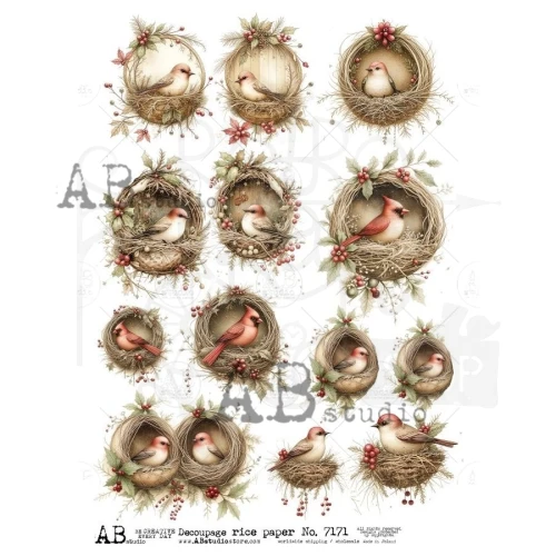 Papier ryżowy do decoupage A4 Ptak w gnieździe ID-7171 - ABstudio