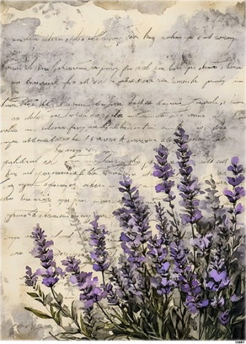 Papier ryżowy do decoupage A5 Lawenda i pismo 13691