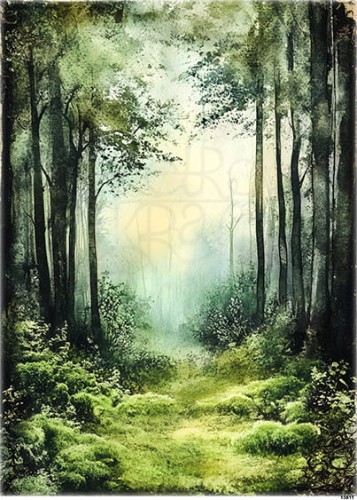 Papier ryżowy do decoupage A5 Zielony las 13811